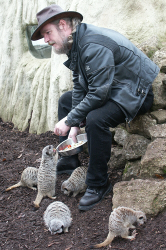 A meerkat who feels Bill's been neglecting him..