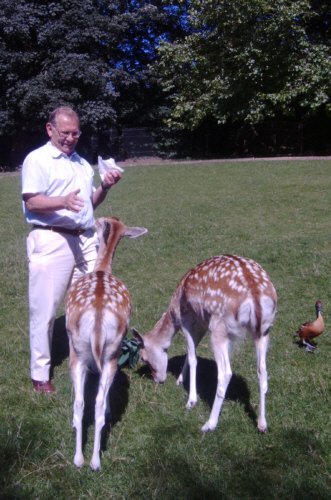 The deer at Prinknash Abbey decide Dad's their new best friend