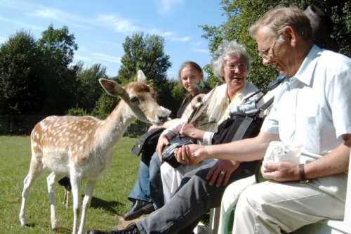 Feeding the deer at Prinknash Abbey